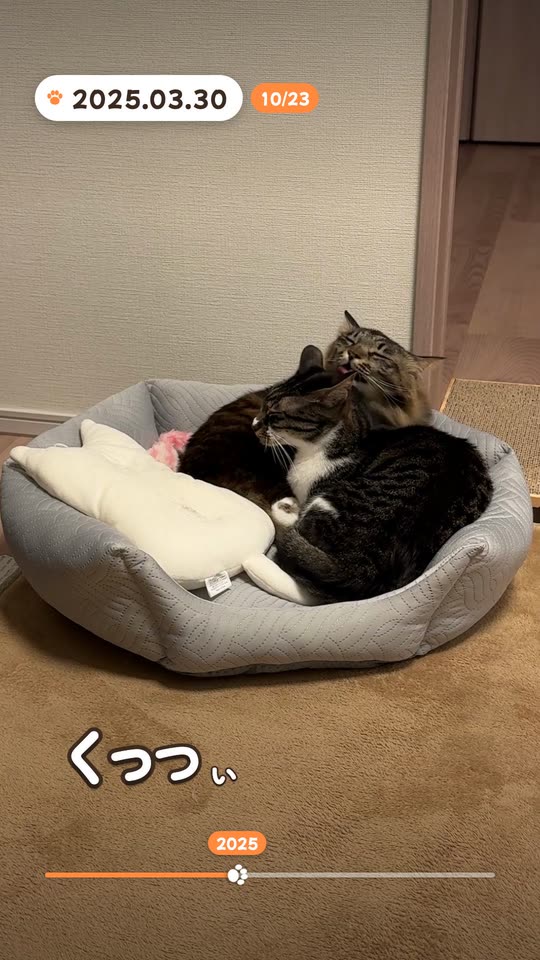 ポップ版の一場面。ベッドでくっついて眠るふたり