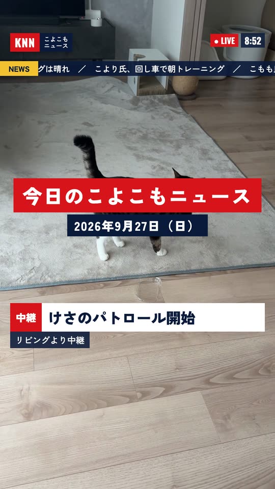 ニュース番組風の画面。「今日のこよこもニュース 2026年9月27日（日）」のタイトルと、じゅうたんを歩くこより